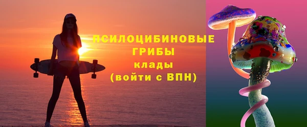 крисы Семикаракорск