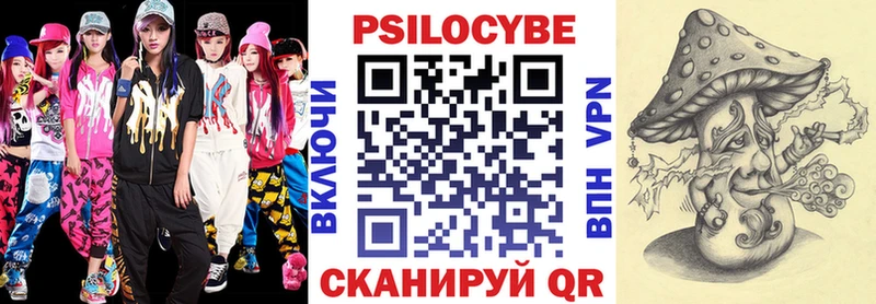 Псилоцибиновые грибы мицелий  купить наркотик  Ивантеевка 