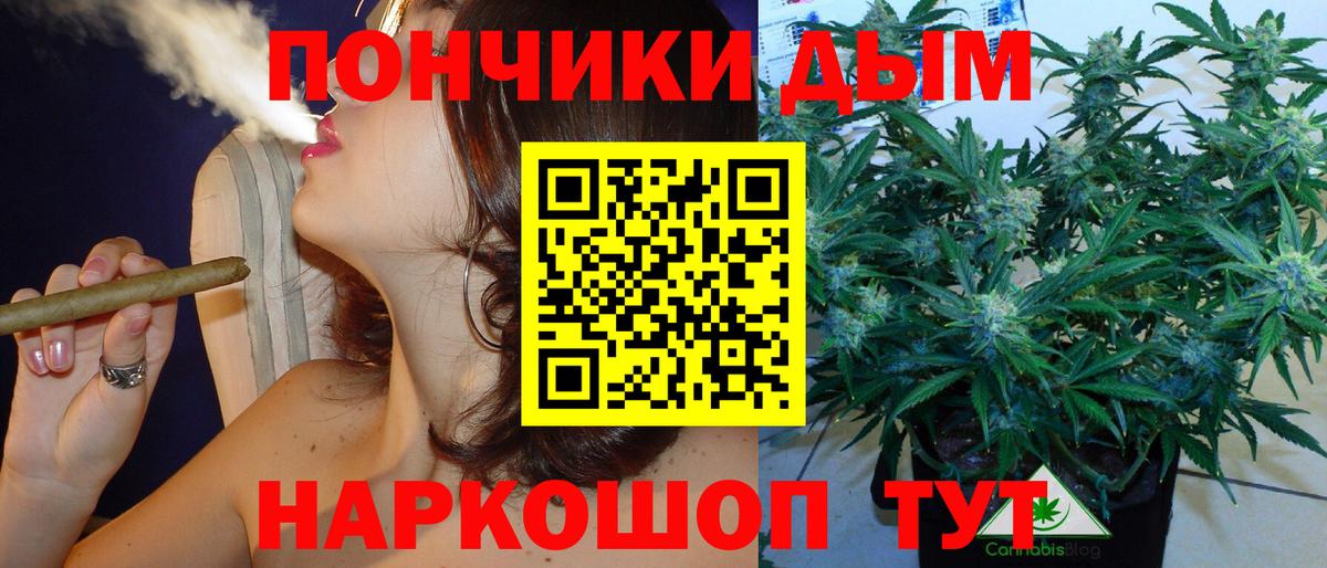Шишки марихуана сатива Ивантеевка